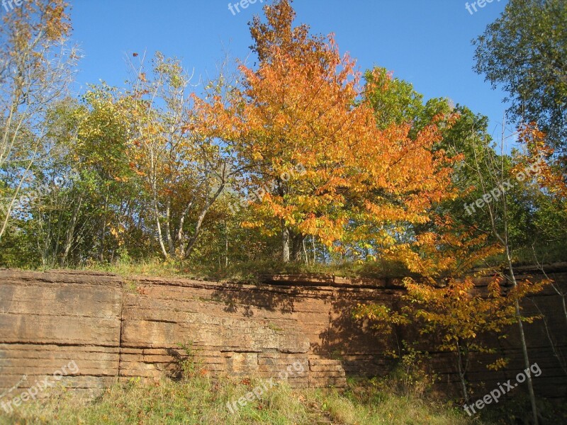 Nature Sweden Tree Autumn Limestone Quarry