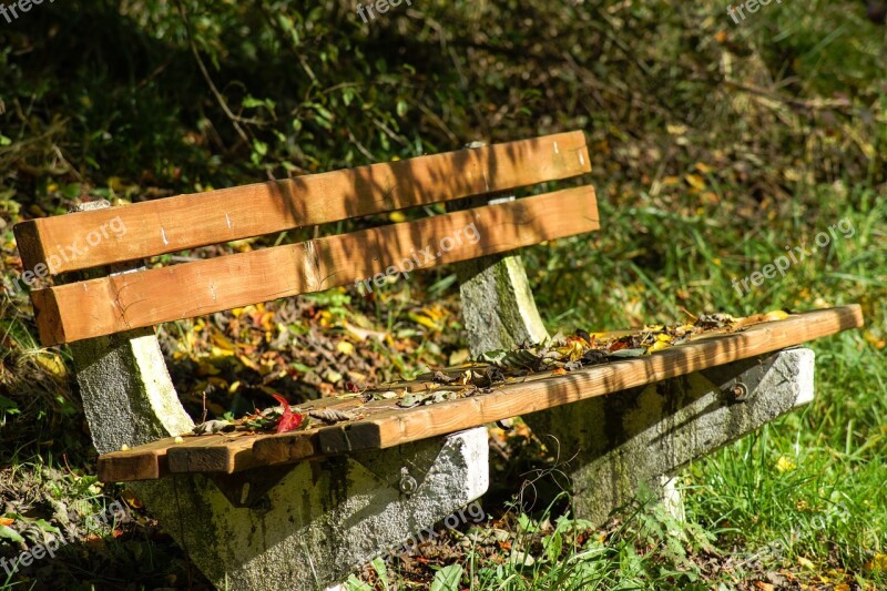 Bench Wood Rest Fall Autumn