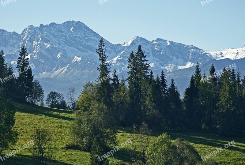 Tatry The High Tatras Meadow Forest Landscape