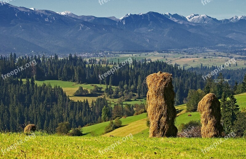 Haymaking Harvest Kopki Hay Stacks Of Hay View