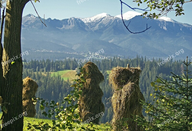 Kopki Hay Hay Haymaking Autumn Nature