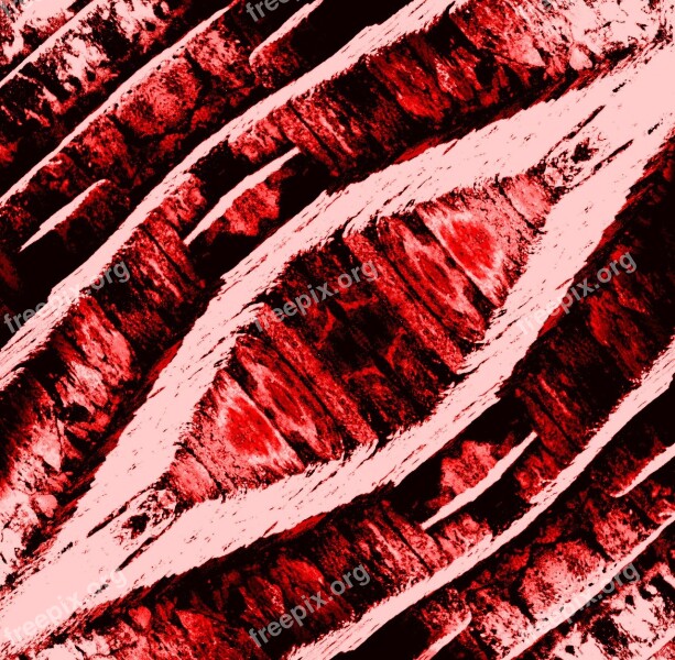 Artistic Fotofilter Pattern Red Texture