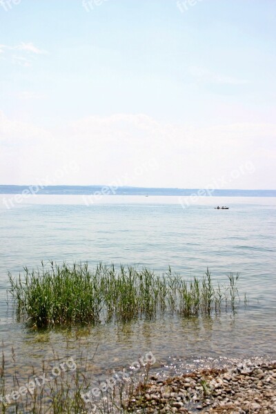 Lake Constance Pebble Water Bank Lakeside