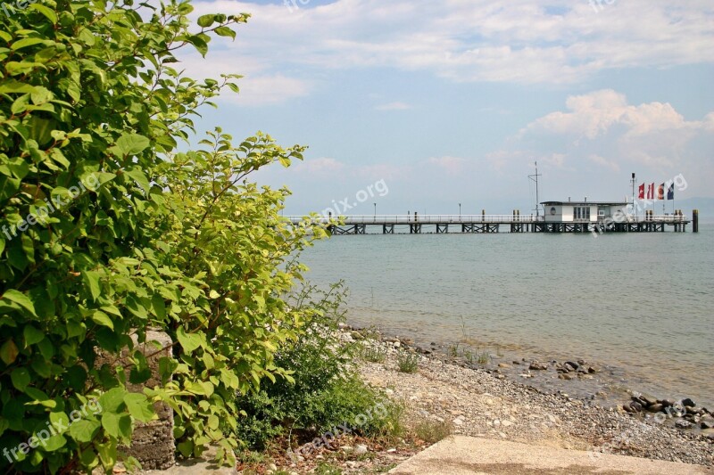 Lake Constance Bank Lake Landscape Lakeside