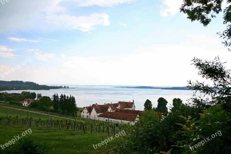 Lake Constance Bank Lake Landscape Panorama