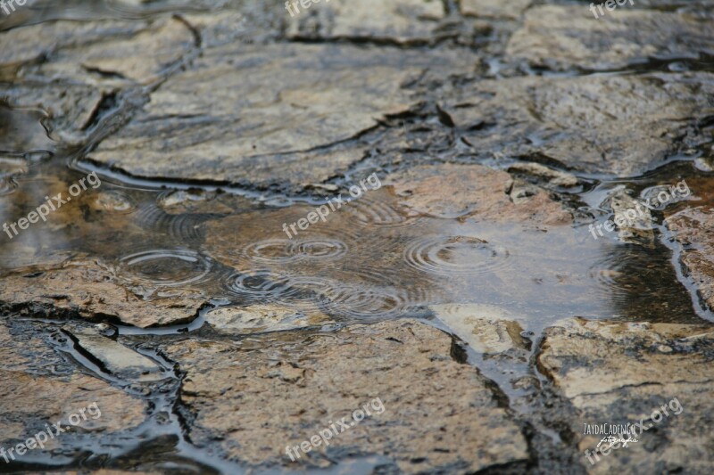 Rain Water Take It Easy Peaceful Nature