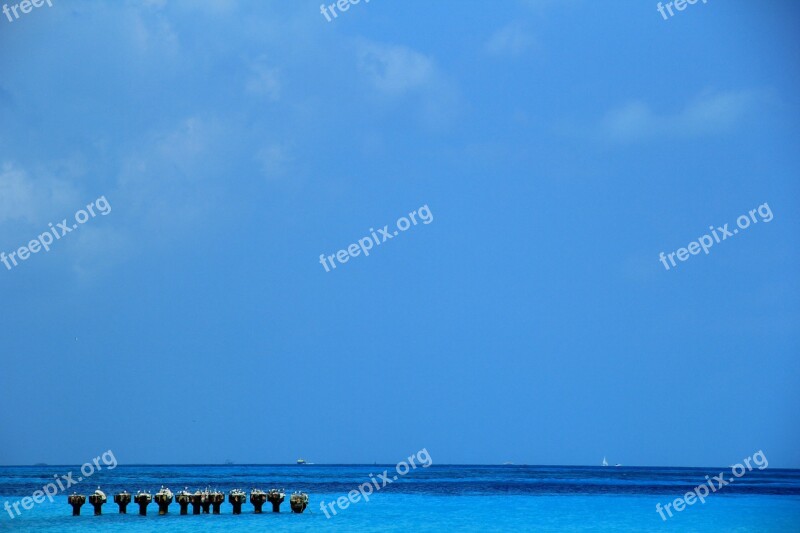 Sea Blue Nature Beach Landscape