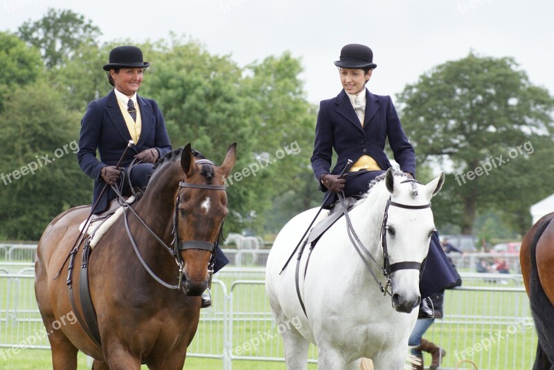 Horses Horse Riding Side Saddle Ladies Hunter Showing