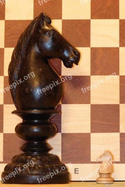 Springer Chess Chess Piece Horse Rössl