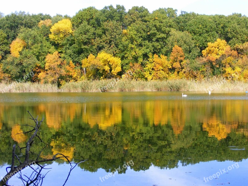 Autumn Landscape Lake Trees Leaf