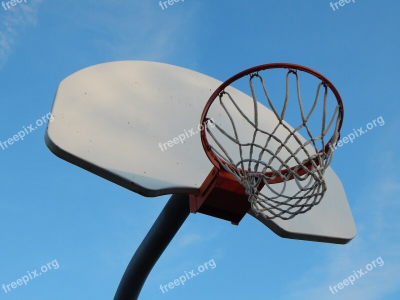 Basketball Hoop Sports Sport Ball