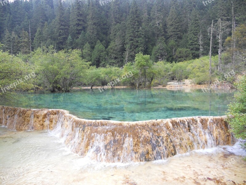 The Yellow Dragon Landscape Tree Green The Scenery