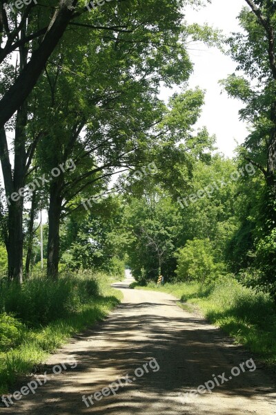 Nature Dirt Road Path Landscape Outdoor