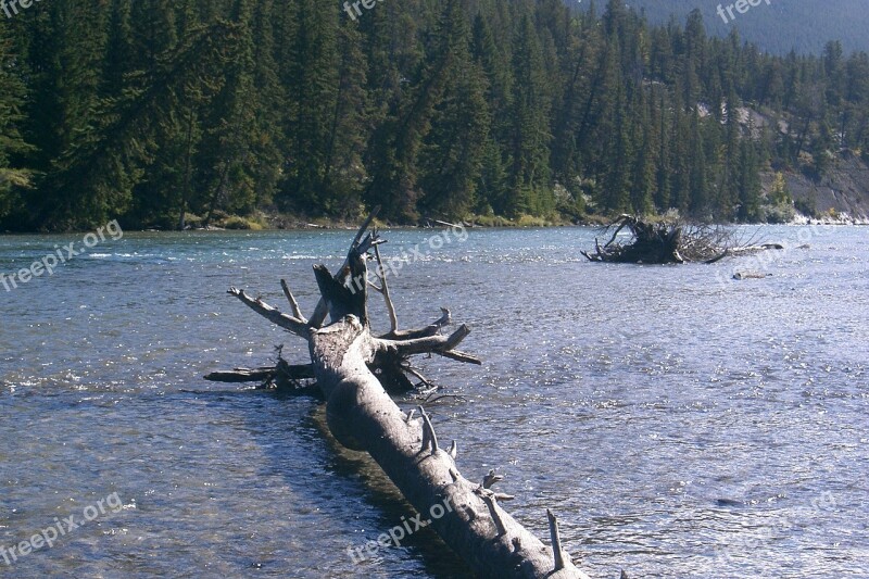 Nature River Water Landscape Forest