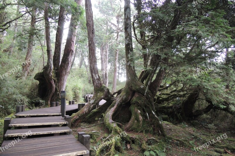 Landscape Woods Taiwan Free Photos