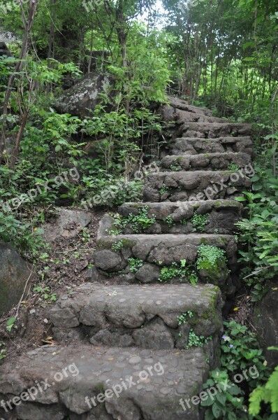 Steps Stairs Green Stone Forest