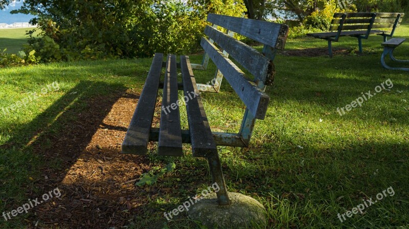 Bench Sunlight Grass Autumn Relaxation