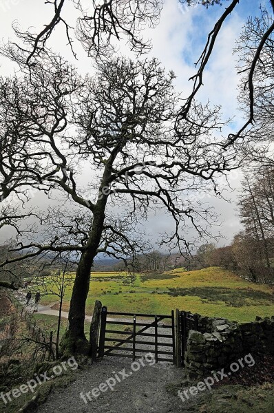 Tree Gate Rural Cumbria Water