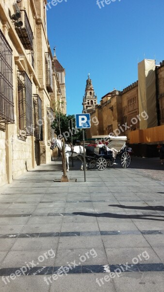 Mijas Spain White Horse Carriage Buggy