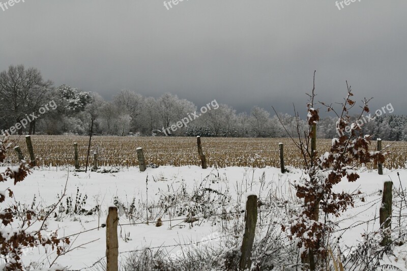 Winter Landscape Pasture Fence Arable