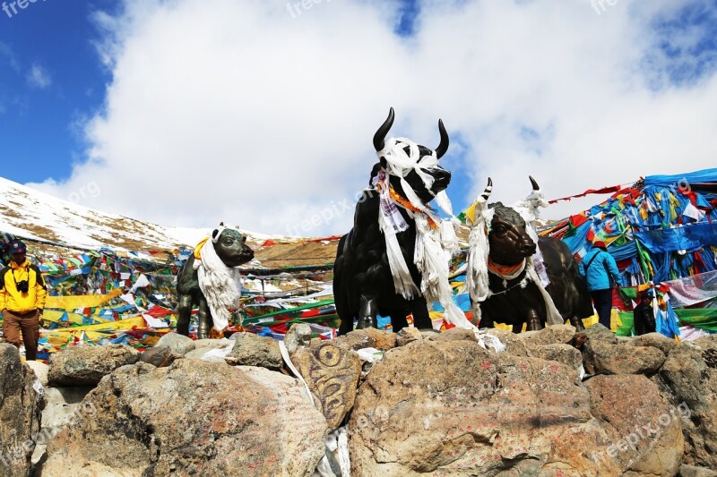 Tibet Mila Mountains Yakou Copper And Yak Blue Sky