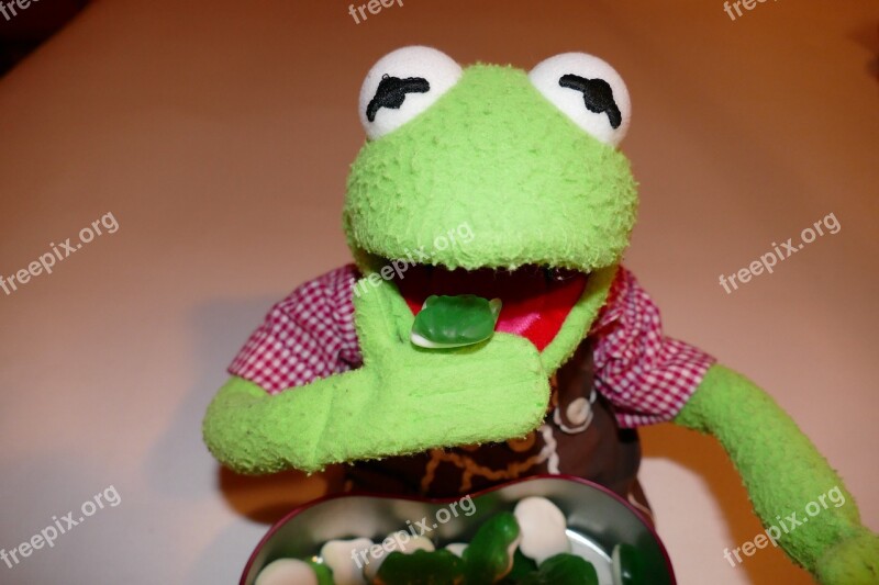 Kermit Frog Eat Gummibärchen Rubber Frogs