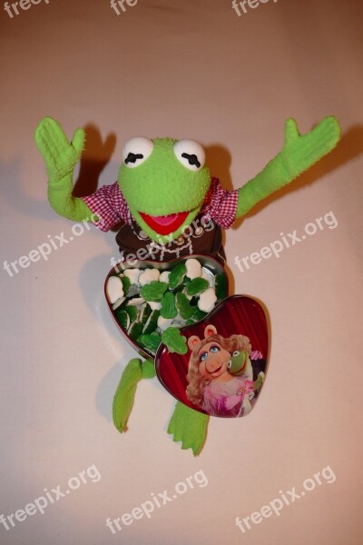 Kermit Frog Look Forward Gummibärchen Rubber Frogs