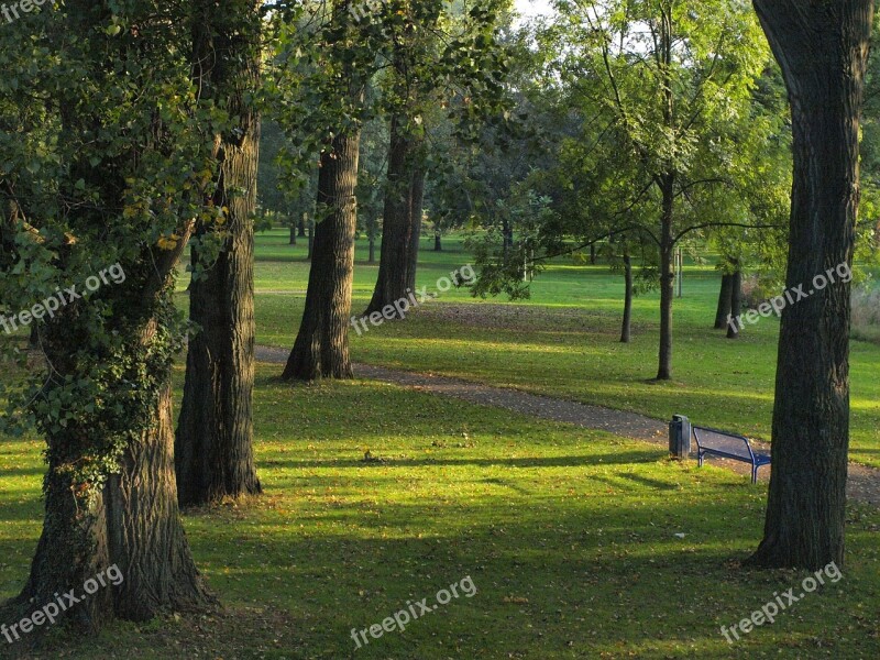 Trees Poplars Park Main Main Meadows