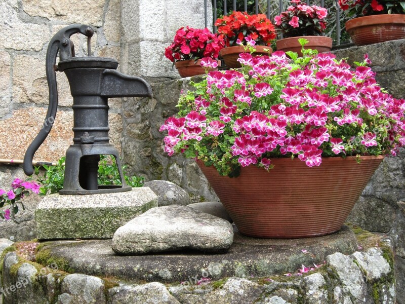 Flowers Water Plants Source Gardens