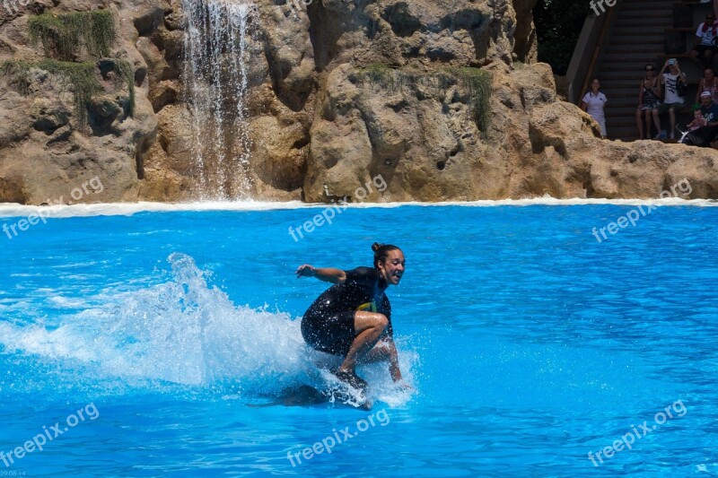 Dolphin Ride Woman Trainer Dolphin Show