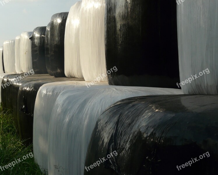 Hay Bales Black And White Bale Hay Round Bales