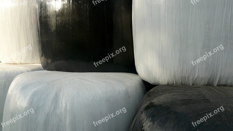 Hay Hay Bales Black And White Harvest Cattle Feed