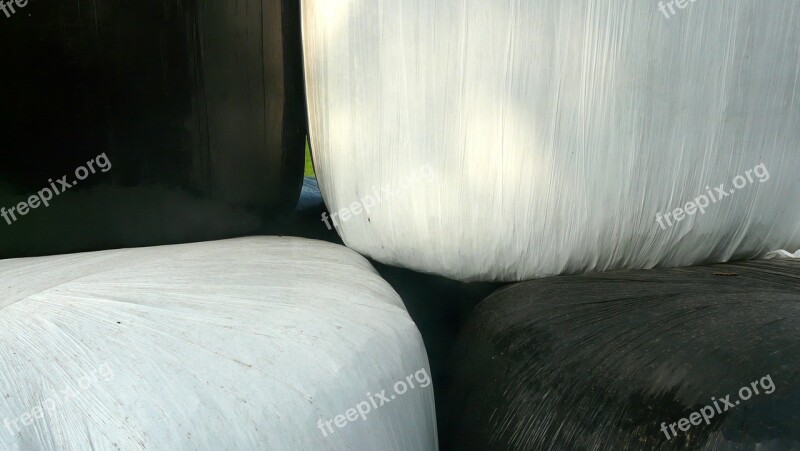 Hay Bale Hay Bales Round Bales Plastic