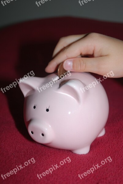 Piggy Bank Savings Pig Money Child