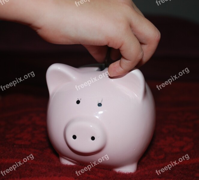 Piggy Bank Pig Savings Money Child