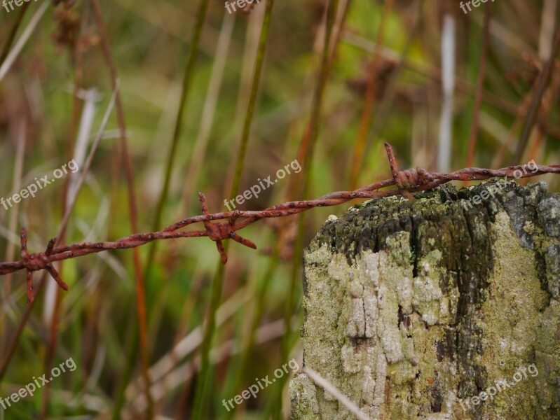 Barbed Wire Rust Metal Wire Rusted