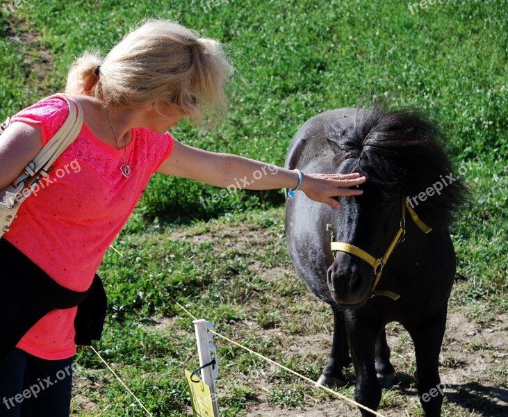 Horse Pony Woman Blonde Caress