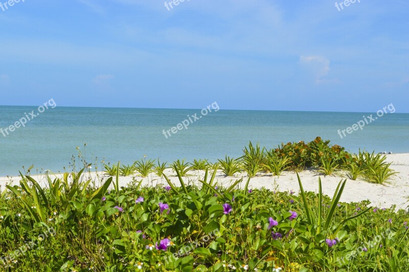 Mexico Yucatan Celestun Beach Paradise