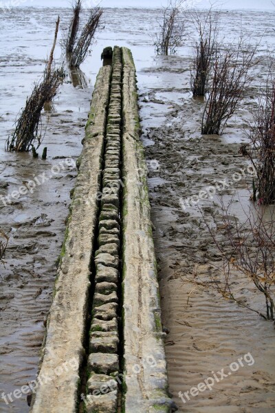 Breakwater Plank Watts North Sea Wadden Sea