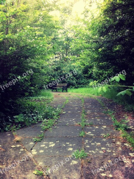 Bench Secret Nature Green Garden