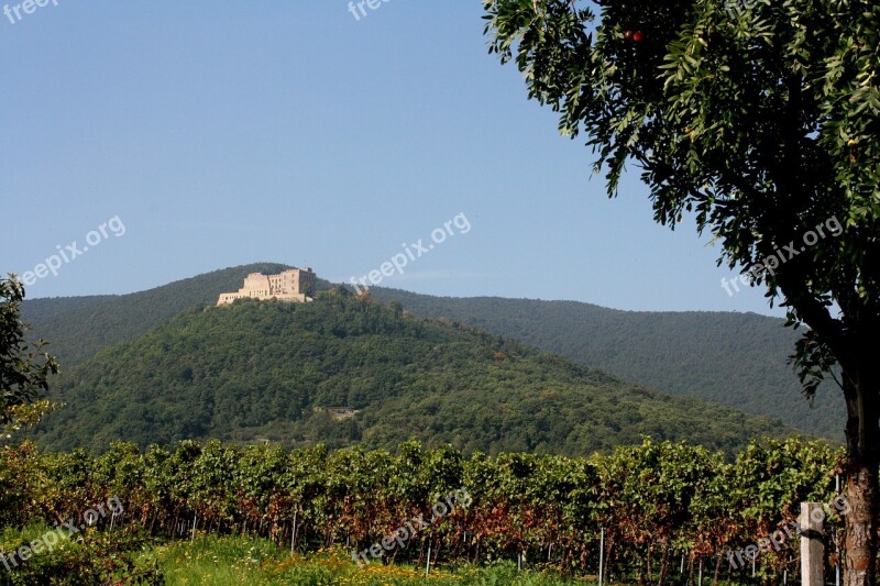 Hambach Castle Palatinate Wine Vintage New Wine