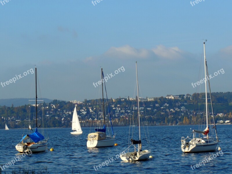 Sailing Boats Lake Constance Water Boats Blue Sky