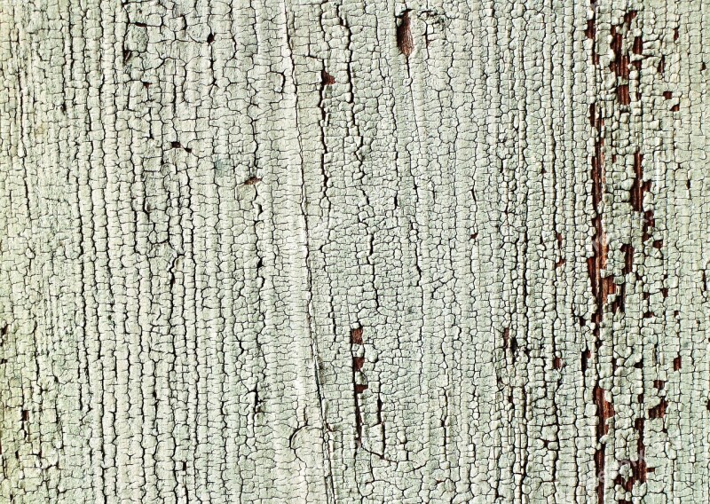 Wood Plank Board Color Structure