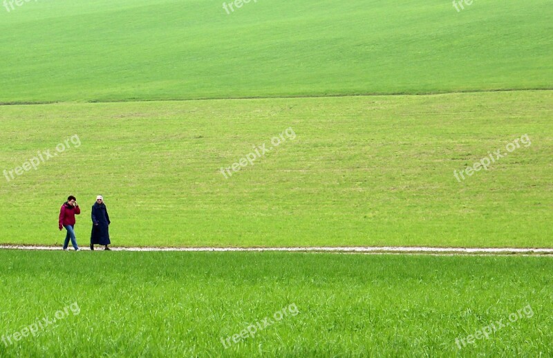 Meadow Green Grass Nature Landscape