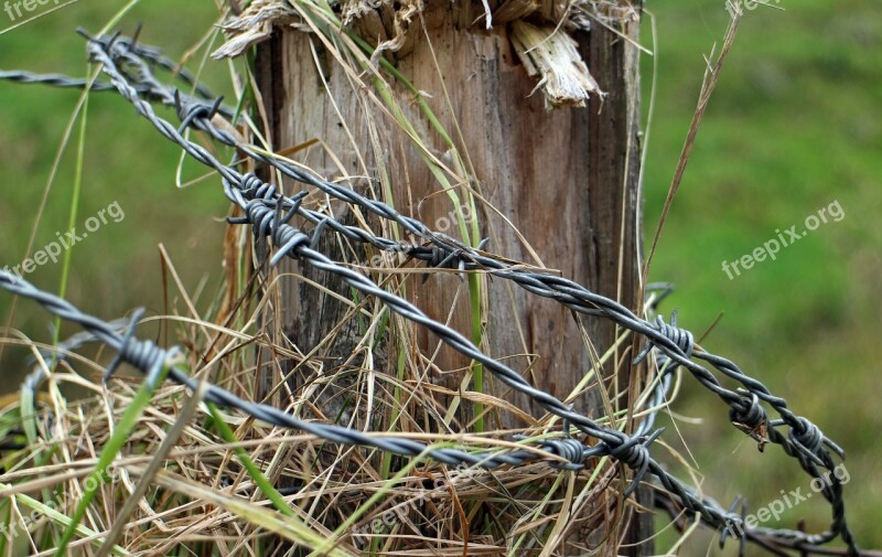 Barbed Wire Post Fence Pile Pasture