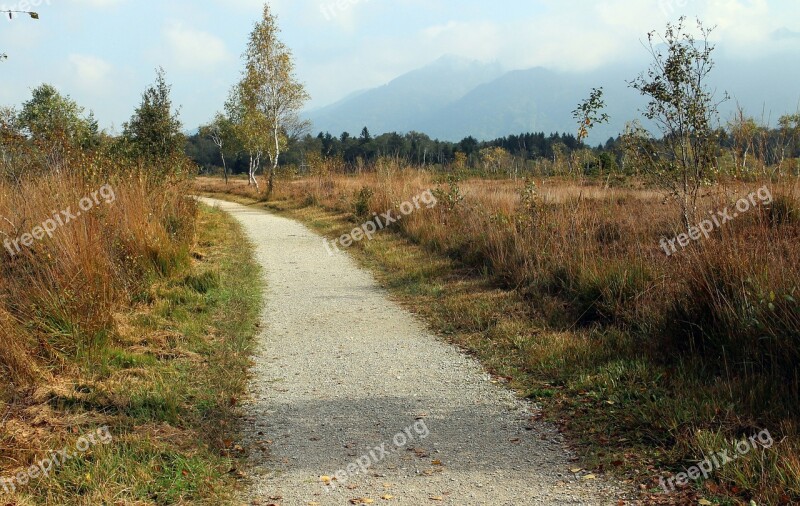 Heide Autumn Away Promenade Path