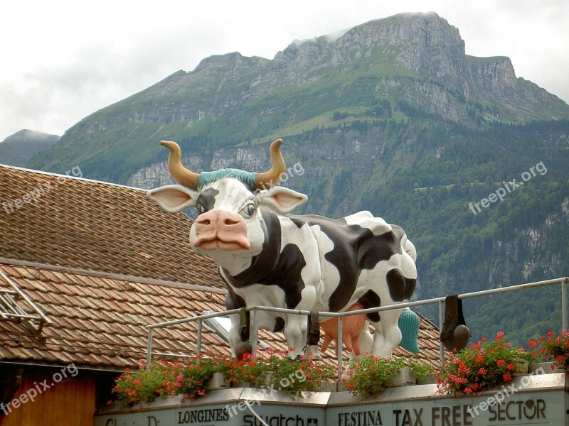 Cow Sculpture Switzerland Brienz Free Photos