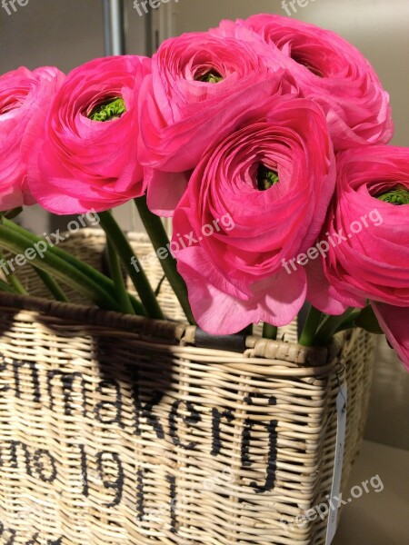 Basket Pink Flowers Spring Decoration