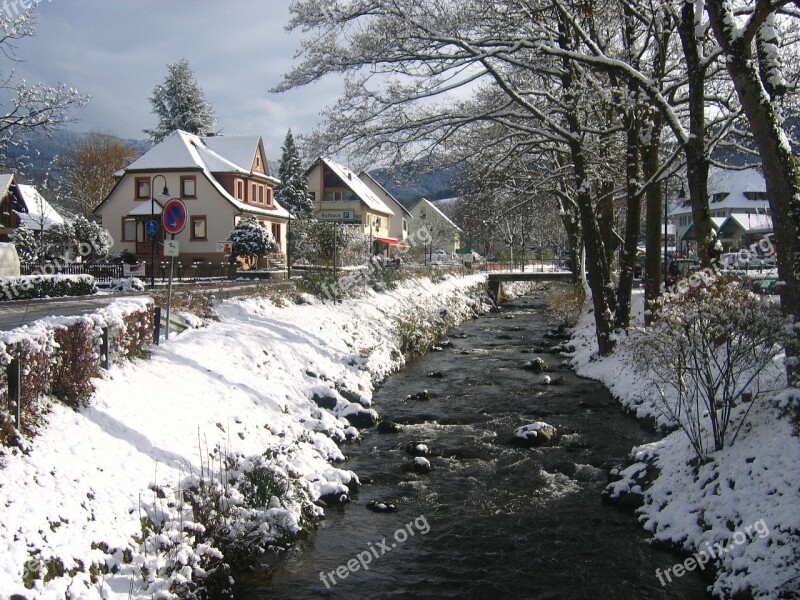 Winter Torrent Glottertal Snow Bach