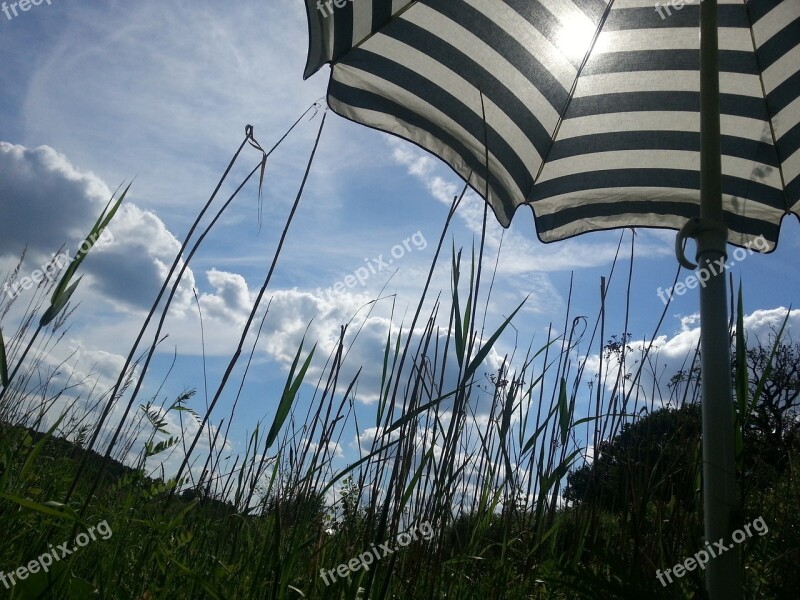 Screen Stripes Sky Blue Summer